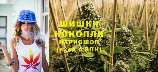 ешки Арсеньев