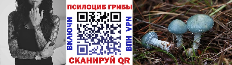 Псилоцибиновые грибы Magic Shrooms  где купить наркоту  Ишим 